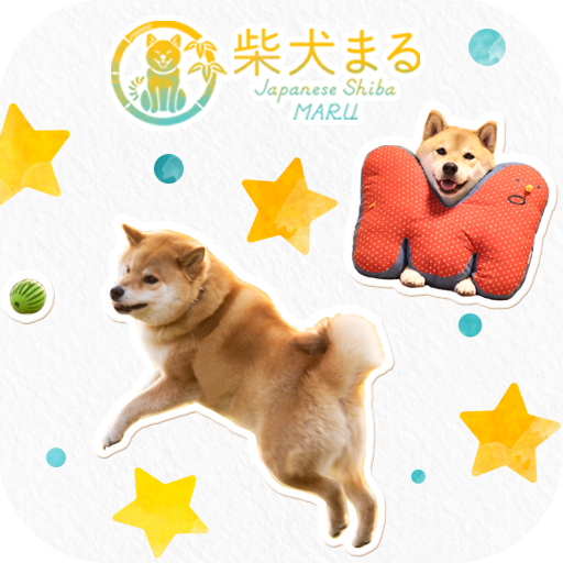 Cute Shiba Inu Maru Collage