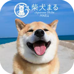 【柴犬まる】無料きせかえ-かわいい壁紙・アイコン