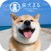 Android 用の 柴犬まる 無料きせかえ かわいい壁紙 アイコン Apk をダウンロード