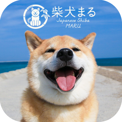 【柴犬まる】無料きせかえ-かわいい壁紙・アイコン