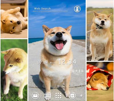 Android 用の 柴犬まる 無料きせかえ かわいい壁紙 アイコン Apk をダウンロード