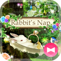 Cute Theme Rabbit's Nap