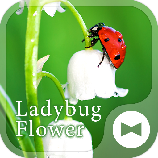 無料で 幸せを呼ぶ壁紙アイコン てんとう虫と鈴蘭 無料 アプリの最新版 Apk1 0 0をダウンロードー Android用 幸せを呼ぶ壁紙アイコン てんとう虫と鈴蘭 無料 Apk の最新バージョンをダウンロード Apkfab Com Jp 無料で 幸せを呼ぶ壁紙アイコン てんとう虫と鈴蘭 無料 アプリの最新版 Apk1 0 0をダウンロードー Android用 幸せを呼ぶ壁紙アイコン てんとう虫と鈴蘭 無料 Apk の最新バージョンをダウンロード Apkfab Com Jp