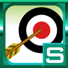 Master of archery icon