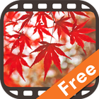 Autumn Scenery in Japan Free ikona