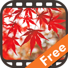 Autumn Scenery in Japan Free icon