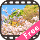 Sakura Movie in Japan Free آئیکن