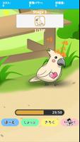 birdwatch ~healing-game~ ภาพหน้าจอ 1