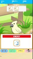 birdwatch ~healing-game~ ภาพหน้าจอ 3