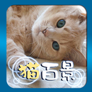 脳トレ～猫百景～猫のいる風景からの脱出ゲーム APK