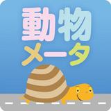 Animal Meter icon