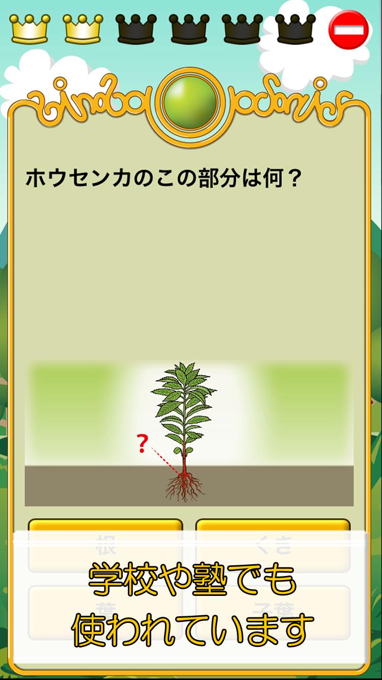 ビノバ理科 小学生 3年生 植物や昆虫をドリルで暗記安卓下载 安卓版apk 免费下载