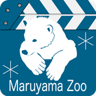 Marudo Next（圓山動物園主題） 圖標