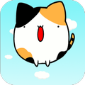 cat jump