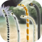 آیکون‌ Garden Eel