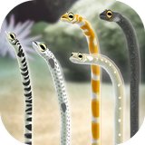 Garden Eel icon