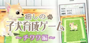 癒しの子犬育成ゲーム〜チワワ編〜
