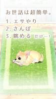 癒しの子犬育成ゲーム〜チワワ編〜 syot layar 1