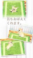 癒しの子犬育成ゲーム〜チワワ編〜 Ekran Görüntüsü 2