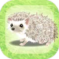 癒しのハリネズミ育成ゲーム