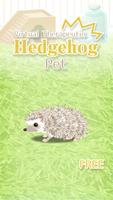 Poster Hedgehog