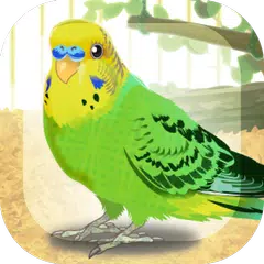 癒しのインコ育成ゲーム アプリダウンロード