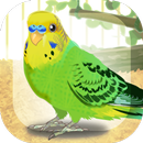 Parakeet Pet aplikacja