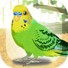 Parakeet أيقونة