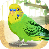 癒しのインコ育成ゲーム APK