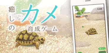 癒しのカメ育成ゲーム