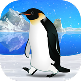 Penguin Pet aplikacja
