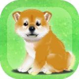 癒しの子犬育成ゲーム〜柴犬編〜-APK