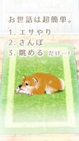 癒しの子犬育成ゲーム〜柴犬編〜 スクリーンショット 1