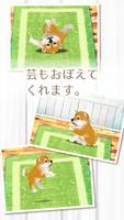 癒しの子犬育成ゲーム〜柴犬編〜 اسکرین شاٹ 2