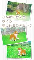 癒しの子犬育成ゲーム〜柴犬編〜 capture d'écran 3