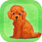 癒しの子犬育成ゲーム〜トイプードル編〜 আইকন