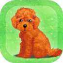 癒しの子犬育成ゲーム〜トイプードル編〜 APK