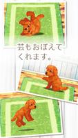 癒しの子犬育成ゲーム〜トイプードル編〜 اسکرین شاٹ 2