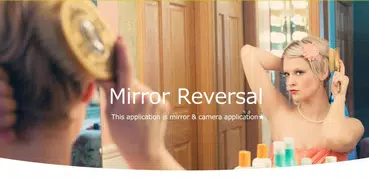 Reversal mirror