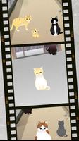 かわいい猫がいっぱい！ ねこやしき２ capture d'écran 3