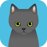 かわいい猫がいっぱい！ ねこやしき