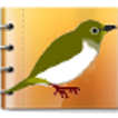 野鳥観察日記