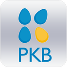 PKB SOLUTION 아이콘