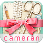 cameran collage-pic photo edit icono