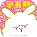 思春期ウサギ