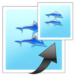 images easy resizer&JPG ⇔ PNG