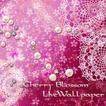 Cherry blossom  wallpaper　free