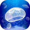 ”Jellyfish Pet