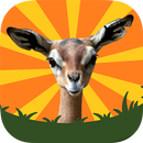 ひっこめ！ジェレヌクさん APK