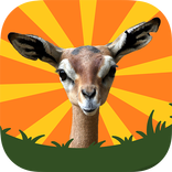 ひっこめ！ジェレヌクさん